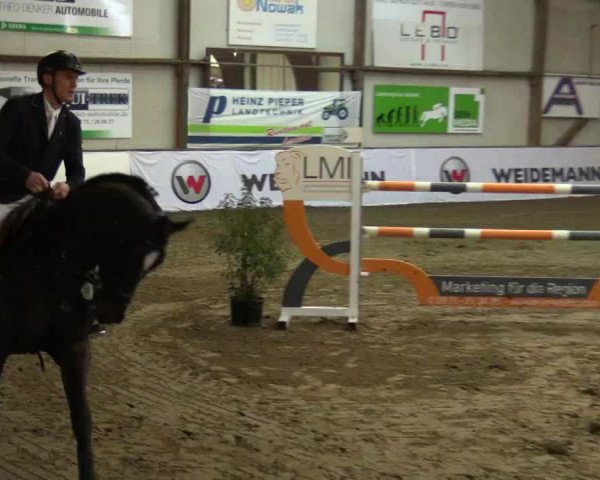 Reitturnier Barlo-Bocholt 2017