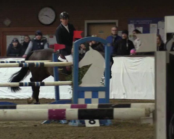 Reitturnier Barlo-Bocholt 2017