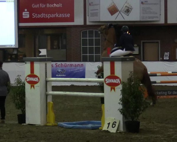Reitturnier Barlo-Bocholt 2017