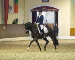 dressage horse Weihefuerstin A (Oldenburg, 2014, from Fürst Romancier)
