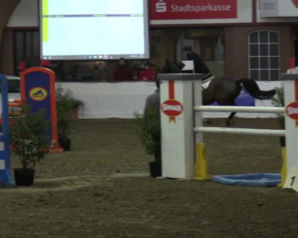 Reitturnier Barlo-Bocholt 2017