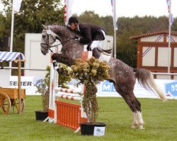 jumper Carl de Luxe H (Hanoverian, 2007, from Cassini II)