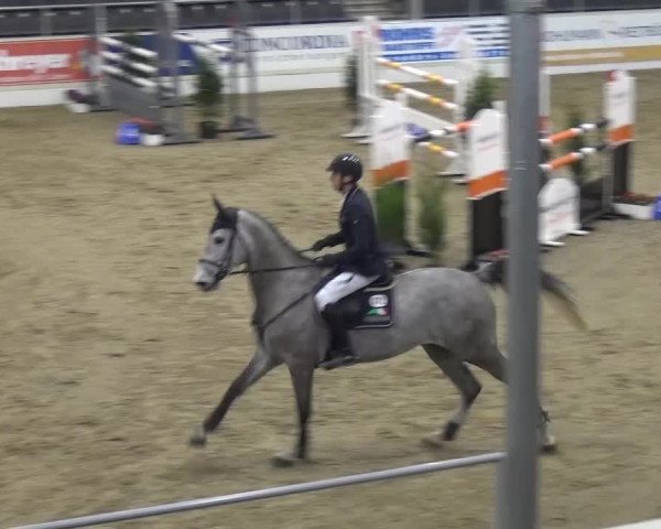 VER-Dinale 2017
