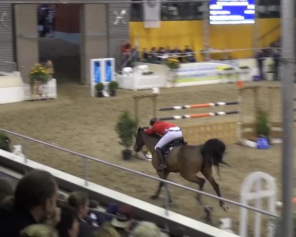 VER-Dinale 2017