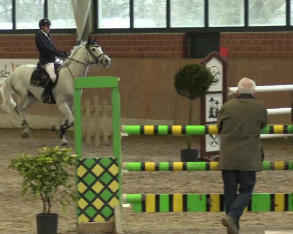 Hallen Springturnier Heiden 2017