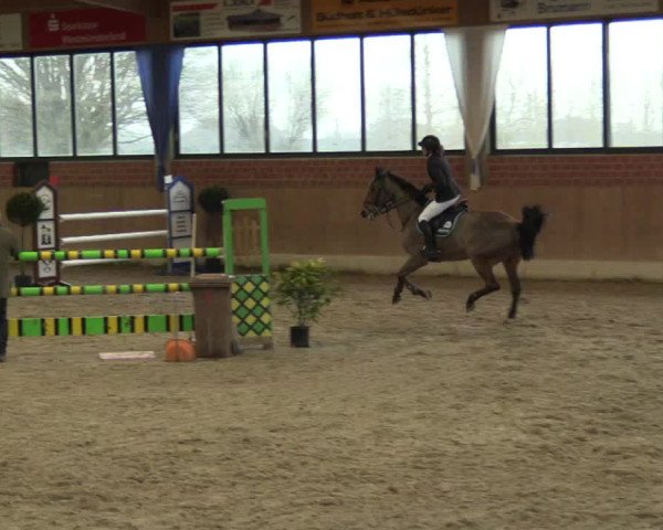 Hallen Springturnier Heiden 2017