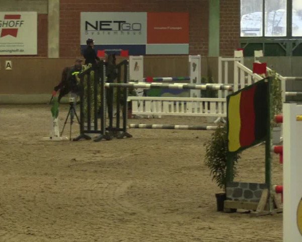 Hallen Springturnier Heiden 2017
