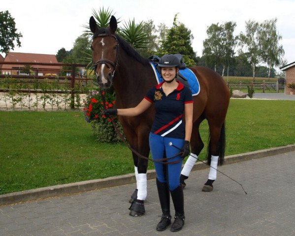 Pferd Salome Saintes Marie de la mer (Rheinländer, 2008, von Sandro Classic)