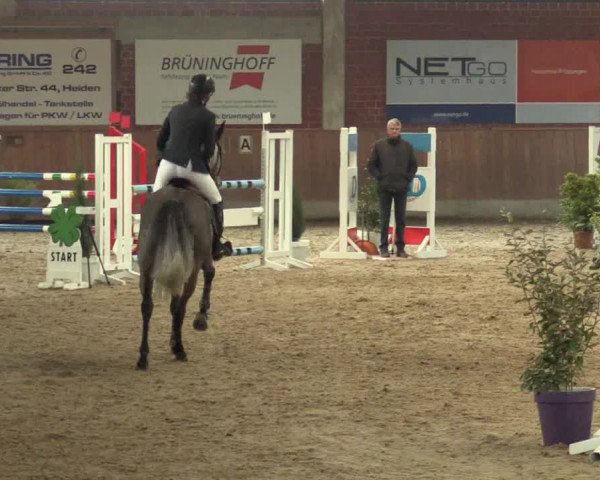 Hallen Springturnier Heiden 2017