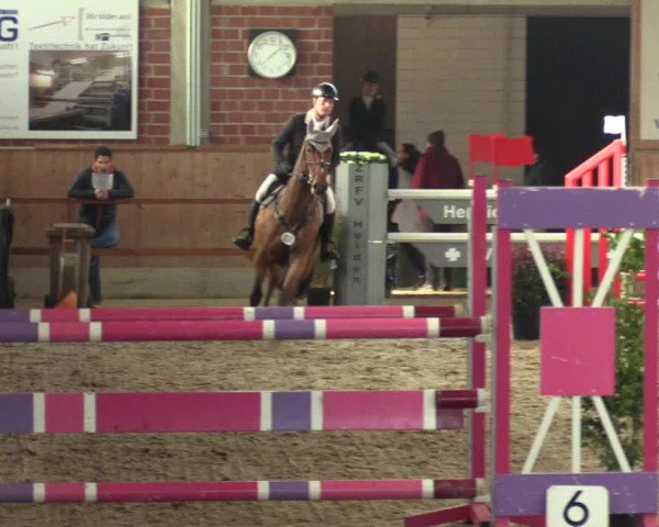 Hallen Springturnier Heiden 2017