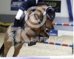 jumper Raaki 2 (German Riding Pony, 2004)