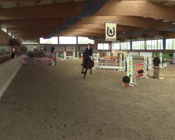 Hallen Springturnier Heiden 2017