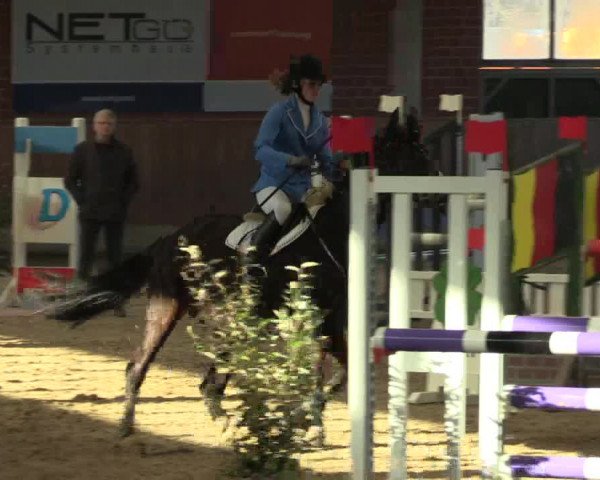 Hallen Springturnier Heiden 2017