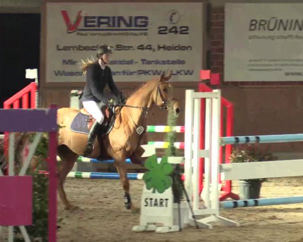 Hallen Springturnier Heiden 2017
