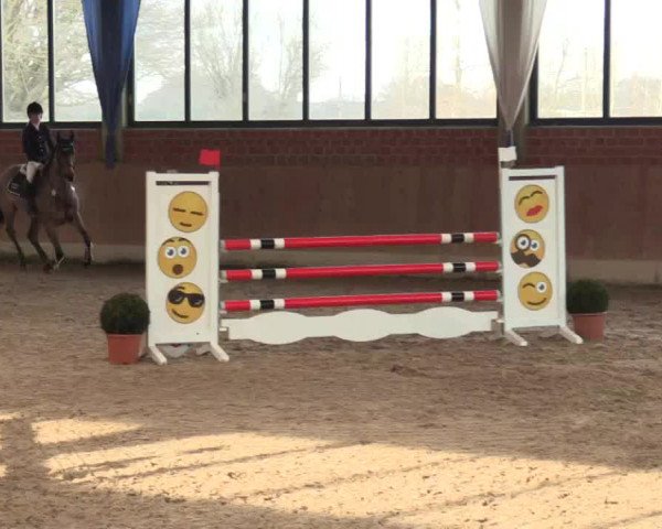 Hallen Springturnier Heiden 2017