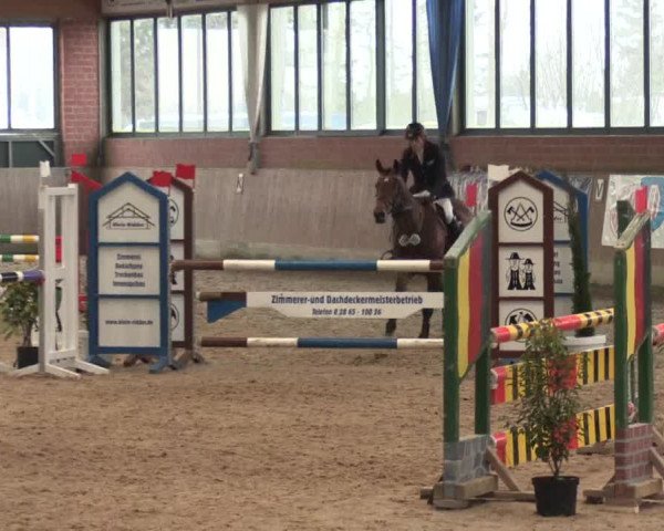 Hallen Springturnier Heiden 2017