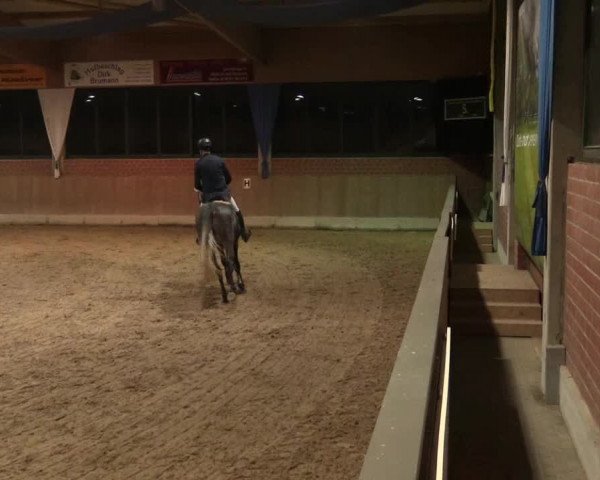 Hallen Springturnier Heiden 2017