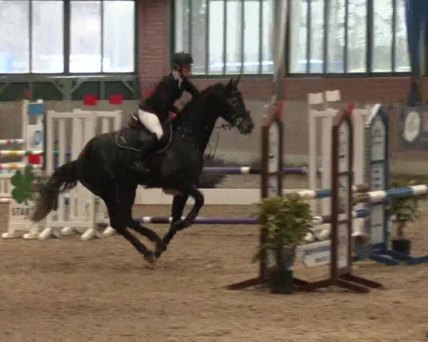 Hallen Springturnier Heiden 2017