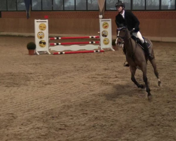 Hallen Springturnier Heiden 2017