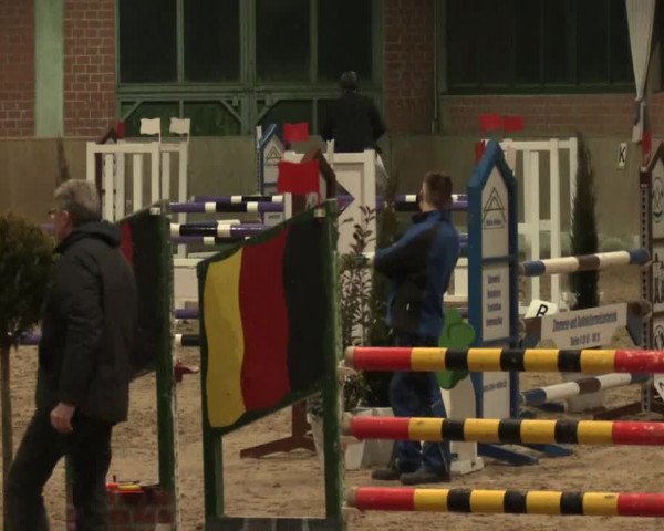 Hallen Springturnier Heiden 2017