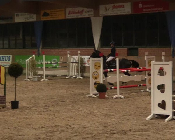Hallen Springturnier Heiden 2017