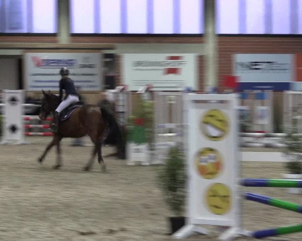 Hallen Springturnier Heiden 2017