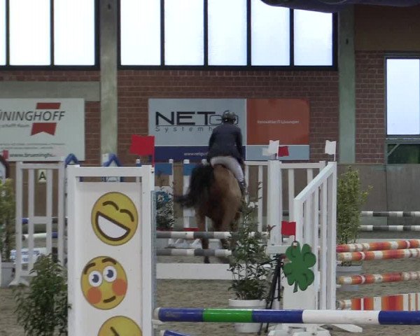 Hallen Springturnier Heiden 2017