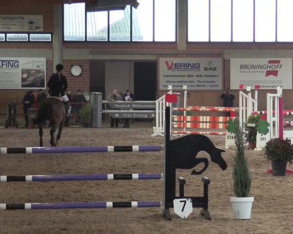 Hallen Springturnier Heiden 2017