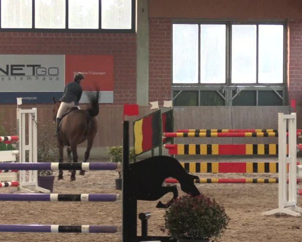 Hallen Springturnier Heiden 2017