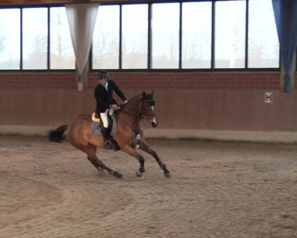 Hallen Springturnier Heiden 2017