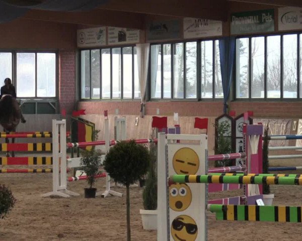 Hallen Springturnier Heiden 2017