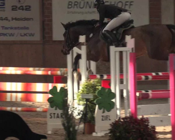 Hallen Springturnier Heiden 2017