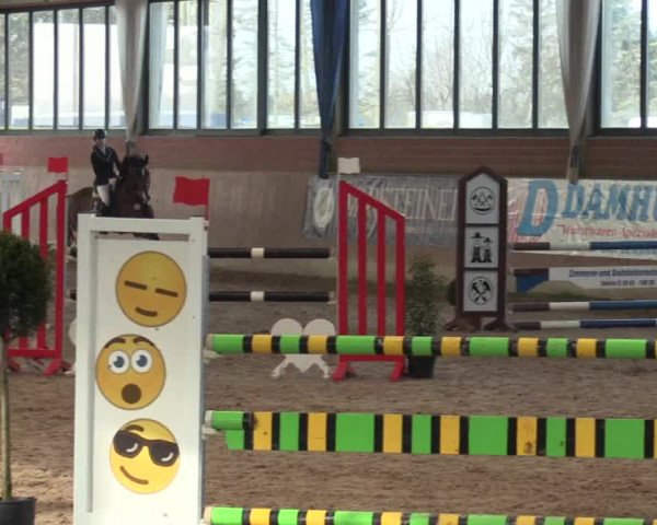 Hallen Springturnier Heiden 2017