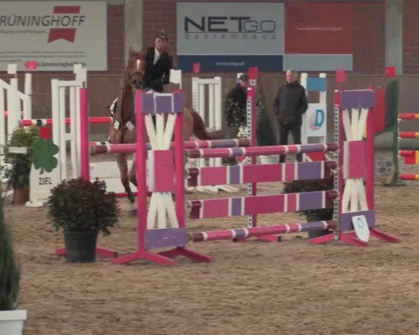 Hallen Springturnier Heiden 2017