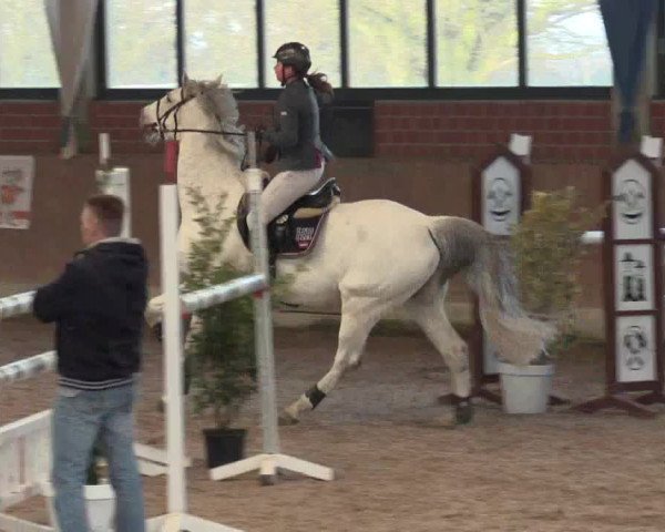 Hallen Springturnier Heiden 2017