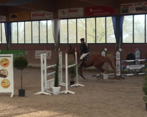 Hallen Springturnier Heiden 2017
