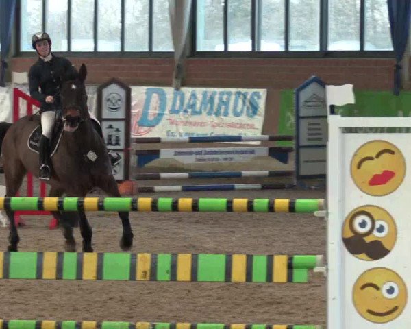 Hallen Springturnier Heiden 2017