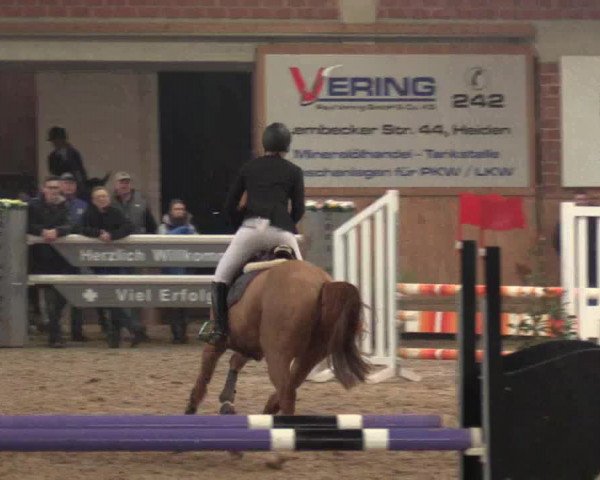 Hallen Springturnier Heiden 2017
