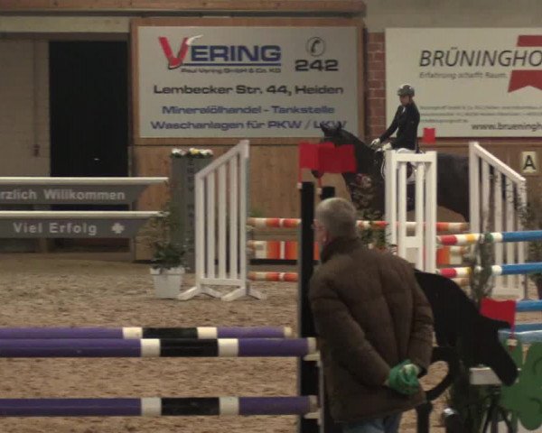 Hallen Springturnier Heiden 2017
