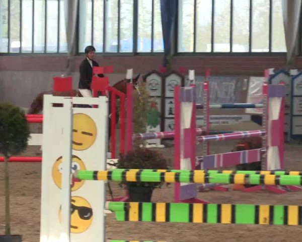 Hallen Springturnier Heiden 2017