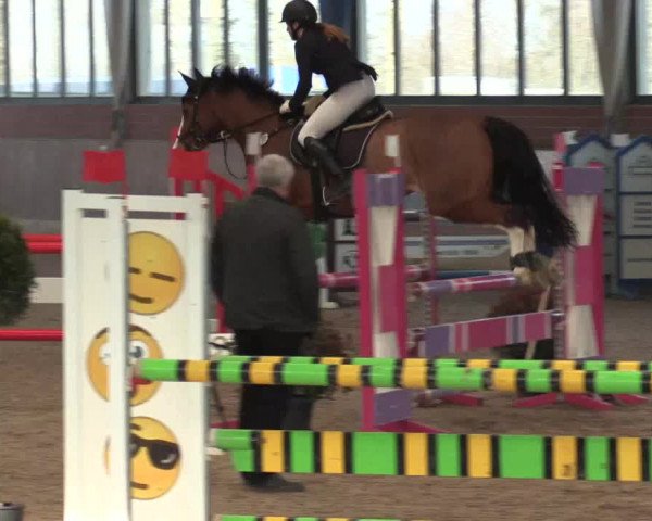 Hallen Springturnier Heiden 2017
