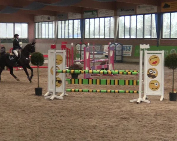 Hallen Springturnier Heiden 2017