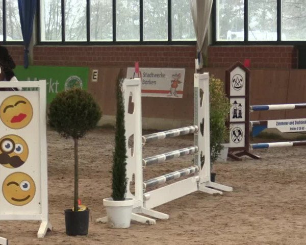 Hallen Springturnier Heiden 2017