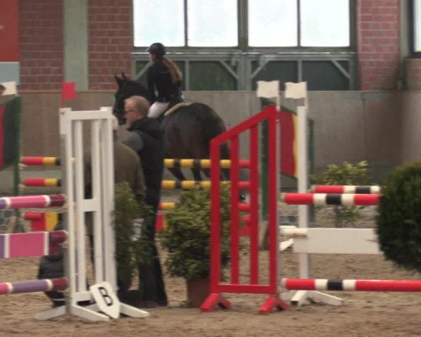 Hallen Springturnier Heiden 2017