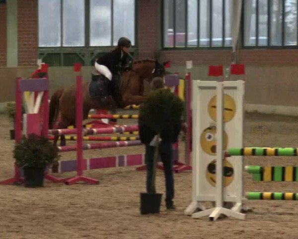 Hallen Springturnier Heiden 2017