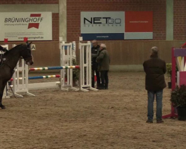 Hallen Springturnier Heiden 2017