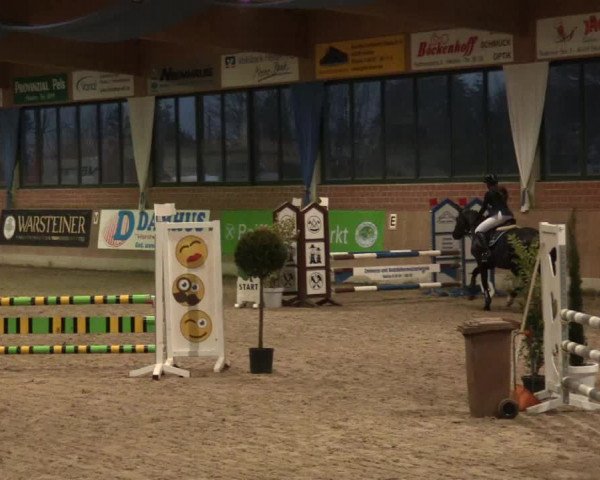 Hallen Springturnier Heiden 2017