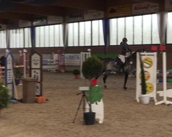 Hallen Springturnier Heiden 2017