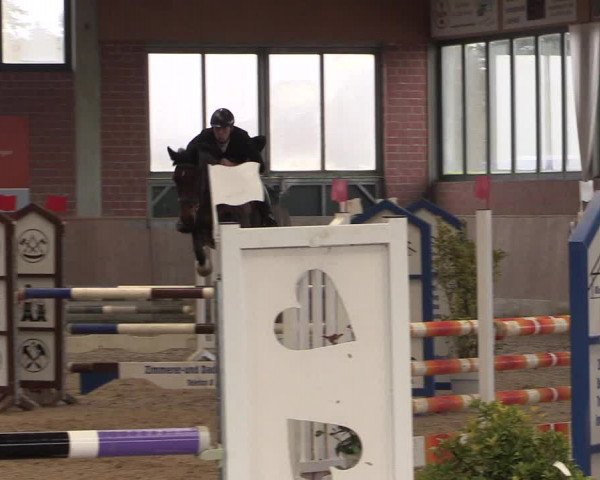 Hallen Springturnier Heiden 2017