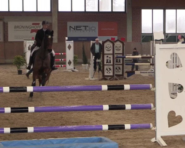 Hallen Springturnier Heiden 2017
